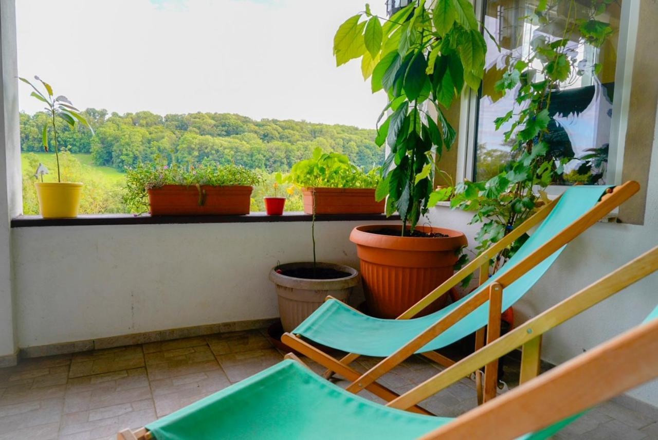 Bauernhof Fuer Naturliebhaber Farm stay Bucha (Saale-Holzland)