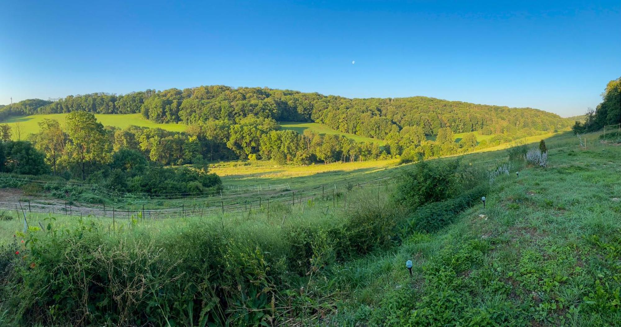 Farm stay Bauernhof Fuer Naturliebhaber