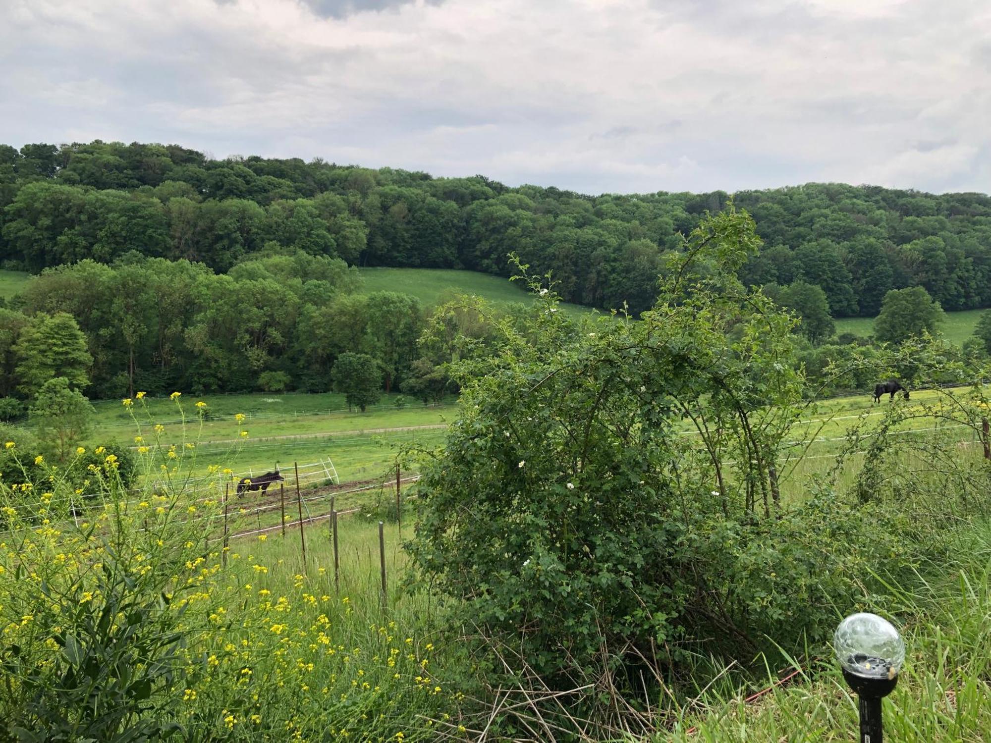 Farm stay Bauernhof Fuer Naturliebhaber *