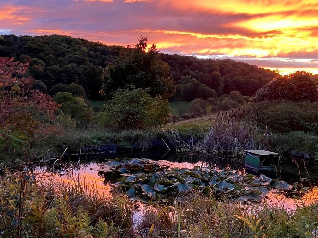 Bauernhof Fuer Naturliebhaber Farm stay