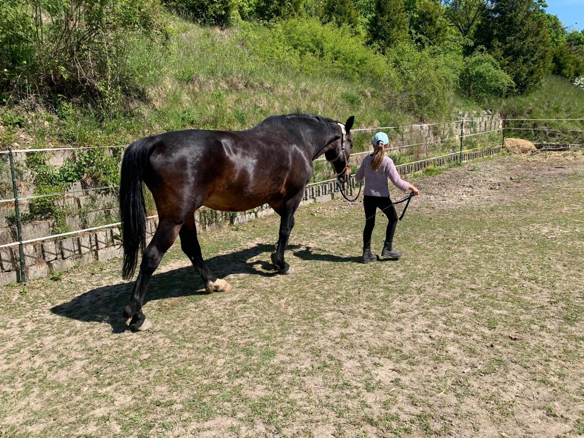 Bauernhof Fuer Naturliebhaber